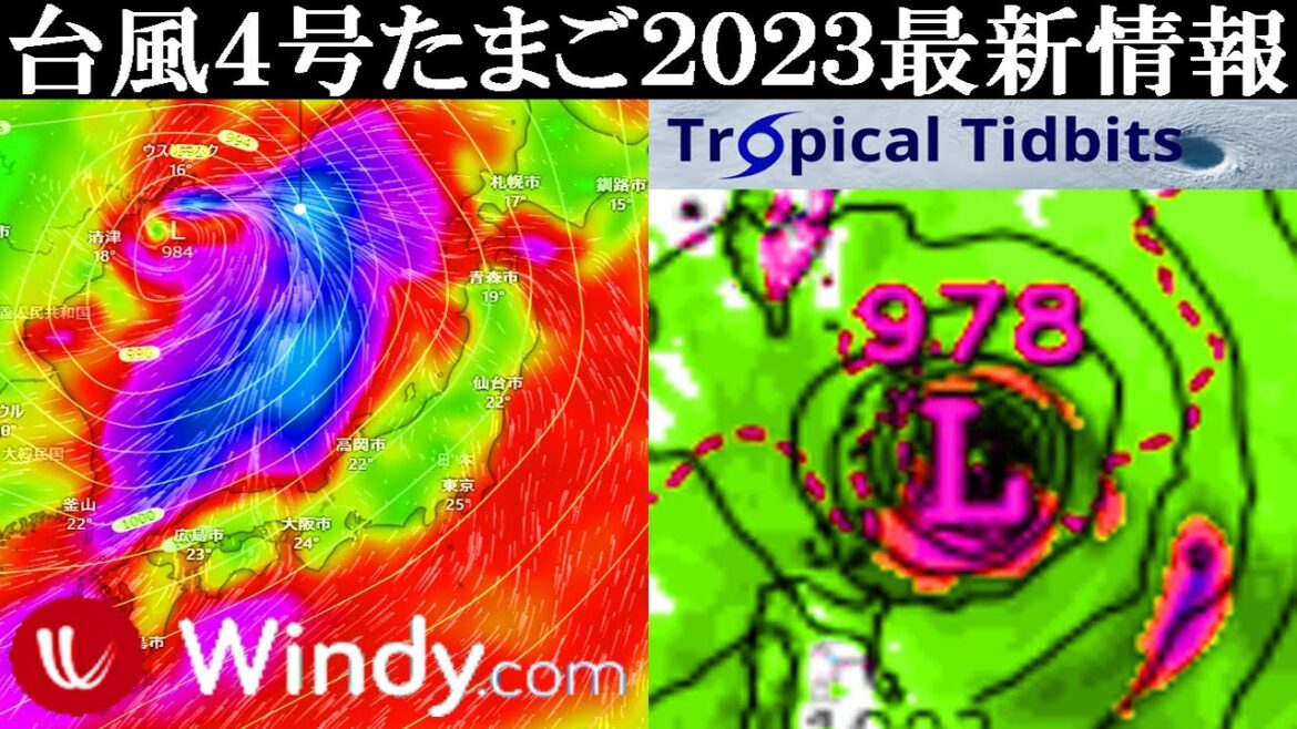 次の台風4号2023候補たまご熱帯低気圧の発生予測に関する最新情報