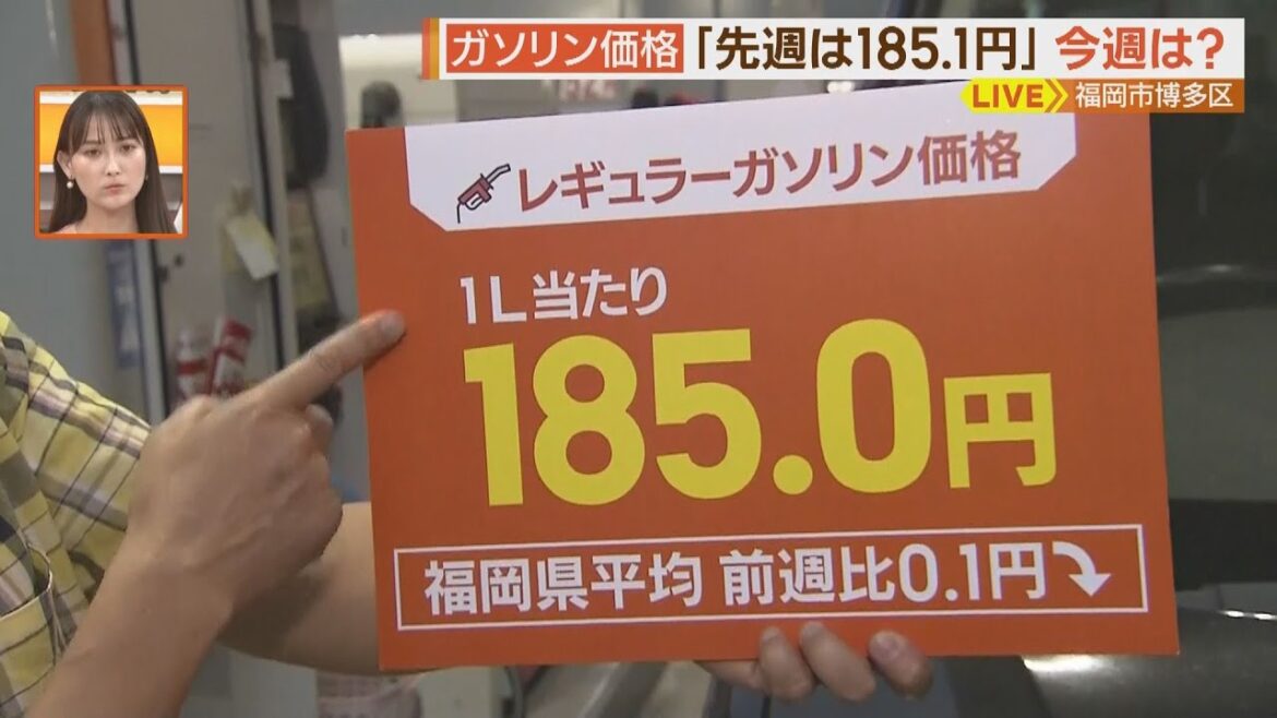 高騰・高止まりするガソリン価格…利用者に動きも【シリタカ！】