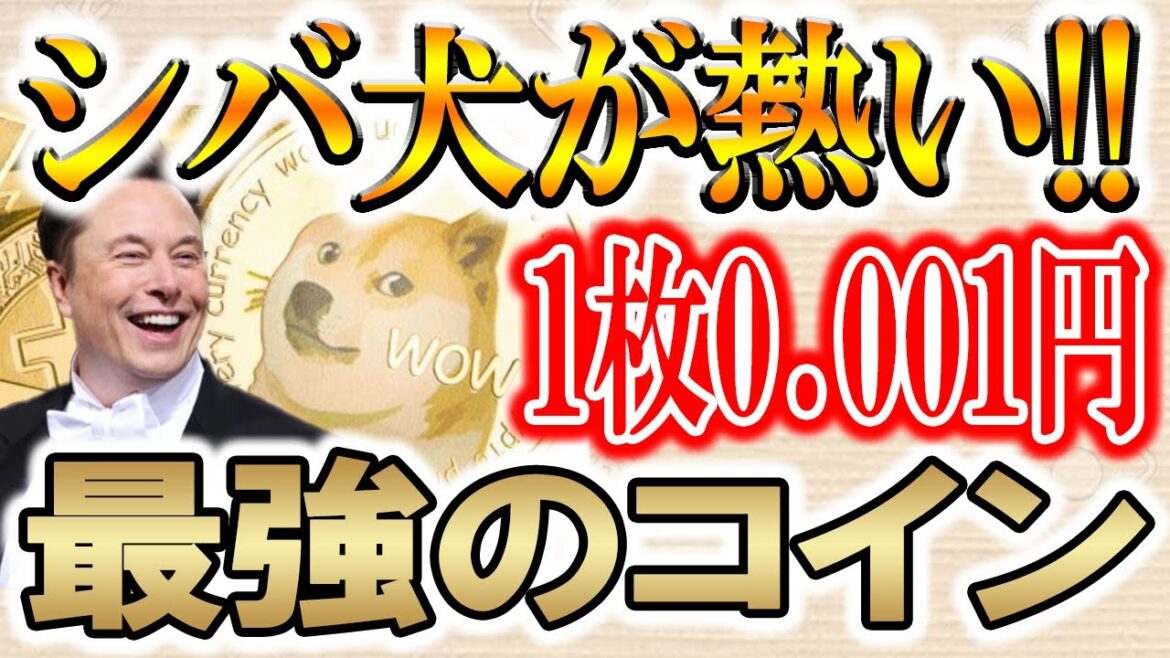 【0.001円で買えます】CAW買うより億れるコイン。【仮想通貨/暗号資産】【柴犬/シバイヌ】