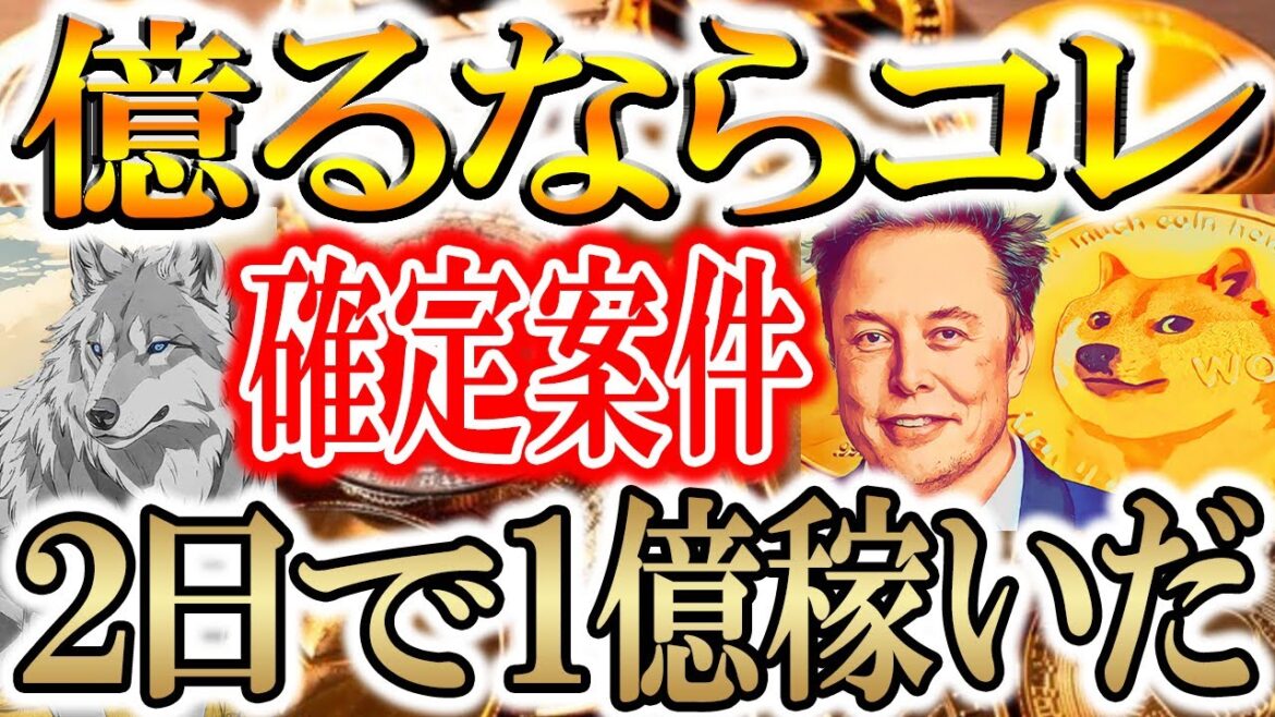 【ヤマイヌ、シバイヌ無双】7万➡1億円稼げました。1,400倍記録したコイン【YAMAINU/SHIB/イーロンマスク/仮想通貨/暗号資産】