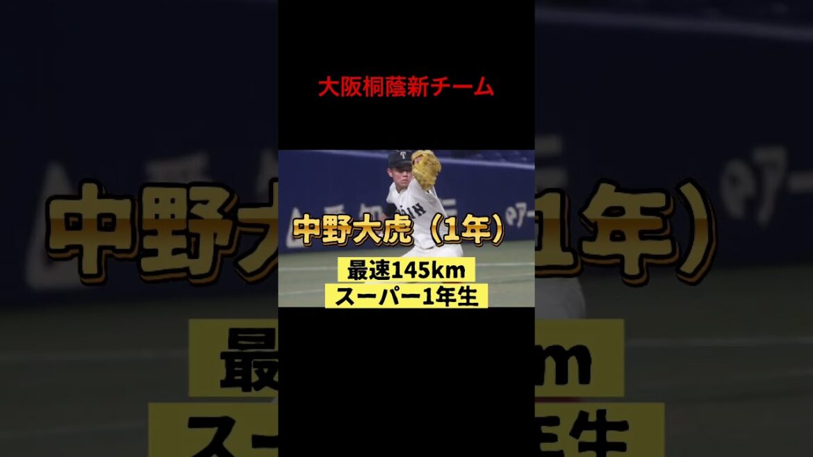 大阪桐蔭新チーム2024#大阪桐蔭 #高校野球 #甲子園
