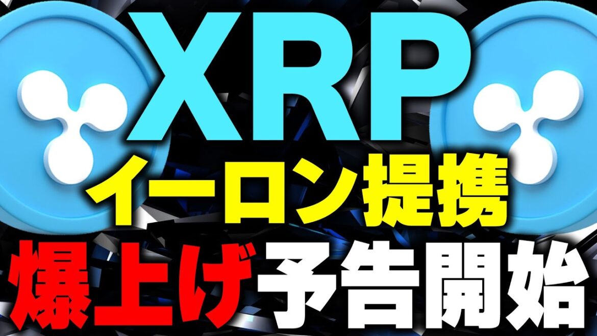 【リップル(xrp)最新情報❗️】仮想通貨XRPがイーロン銘柄に！今後の相場はどうなるのか？【ビットコイン(BTC)】