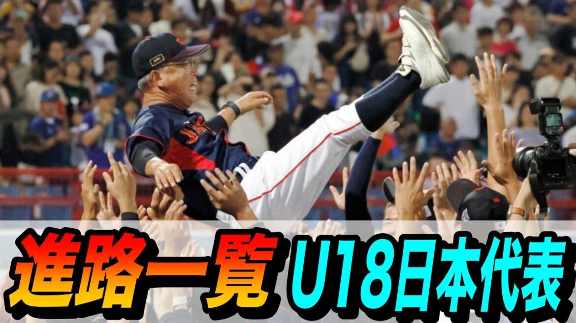 世界一となった日本代表の進路が明らかに！？プロは５名確定！？中央大に４名進学の噂！