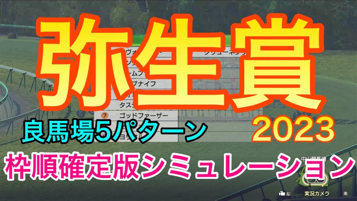 弥生賞ディープインパクト記念2023 枠順確定版シミュレーション 《良馬場5パターン》 【 競馬 】