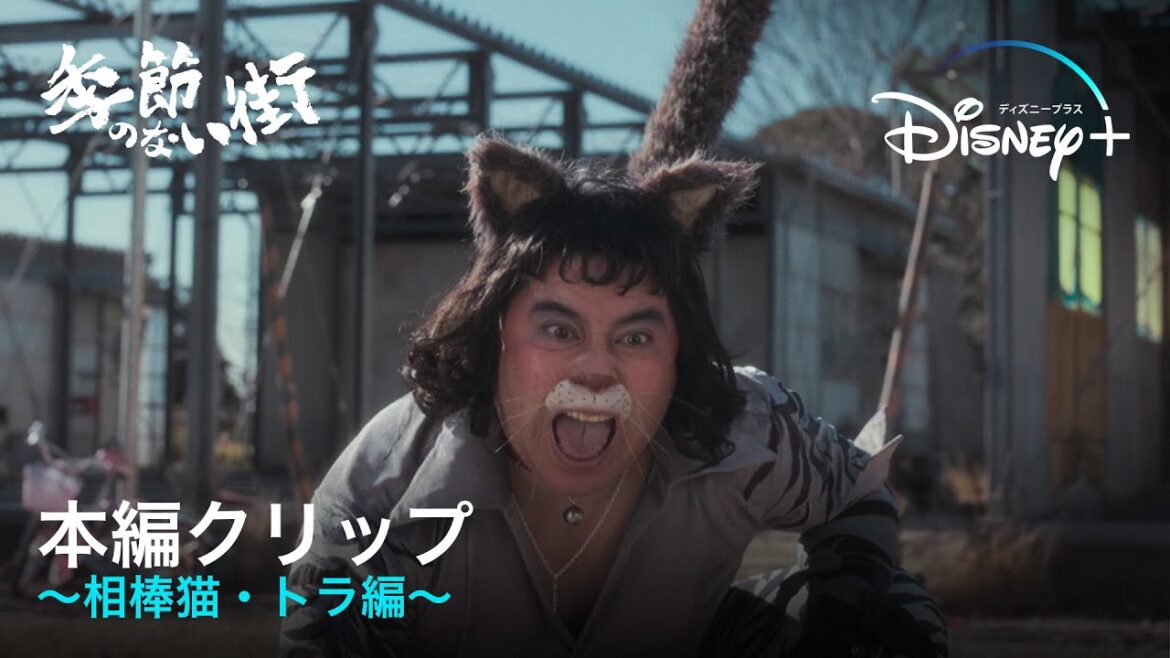 池松壮亮の相棒には裏の顔が！？｜『季節のない街』本編クリップ〜相棒猫・トラ編〜｜宮藤官九郎、企画・監督・脚本の青春群像エンターテイメントドラマ｜Disney+ (ディズニープラス）