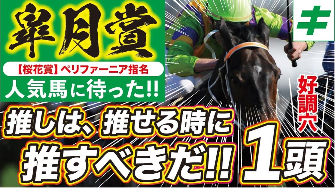 皐月賞 2023【予想/穴馬】不安一層！最高の仕上がりで大一番へ挑む「あの伏兵」を見逃すな！