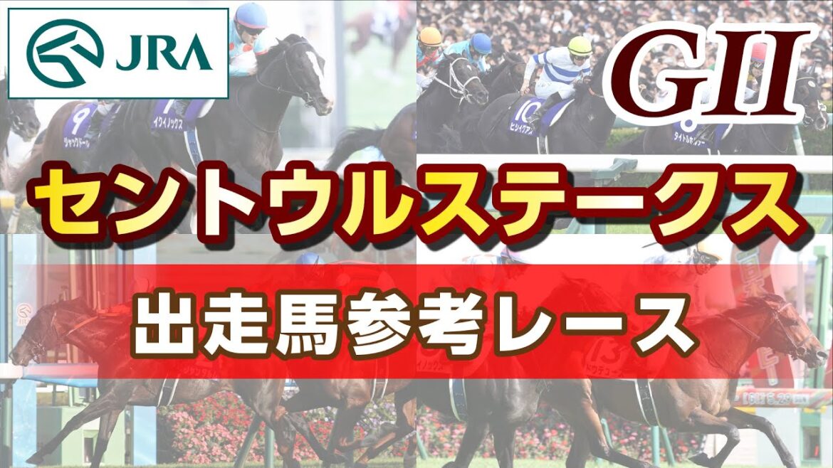 【参考レース】2023年 セントウルステークス｜JRA公式