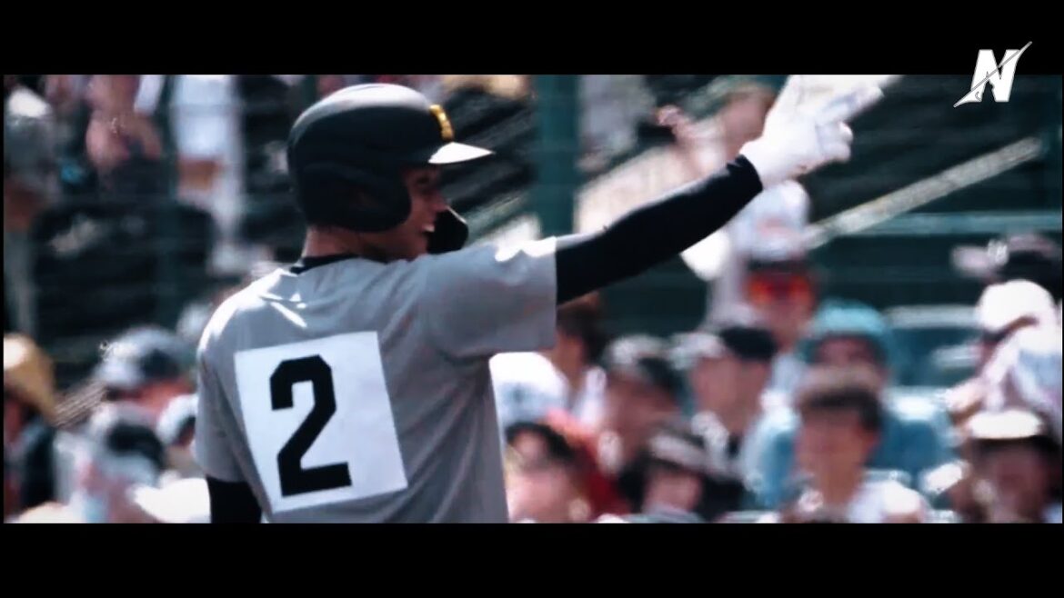 【甲子園】青春、勇気、夢、希望丨2023夏⚾総集編