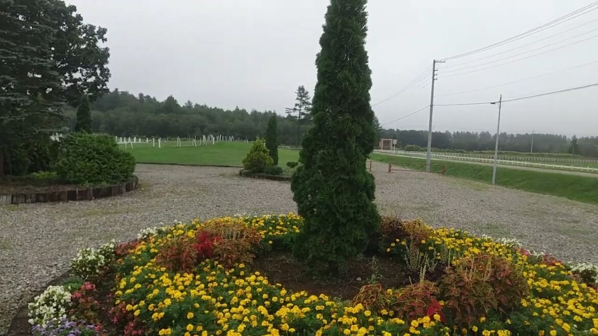 230831 091803　花畑牧場の入口あたり　その１