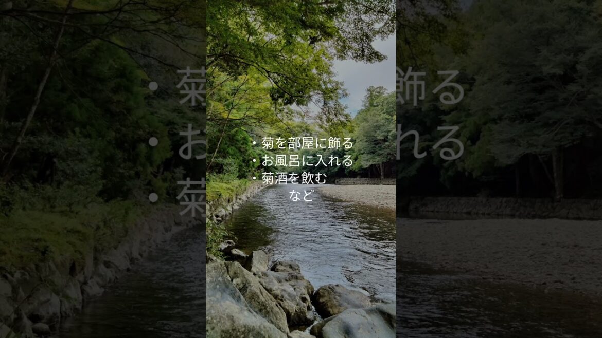 9月9日 重陽の節句