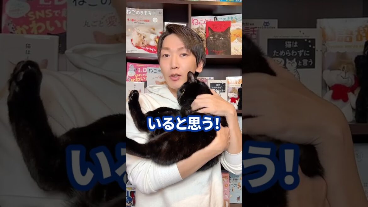 Q：猫と年越しそばを食べても良い？