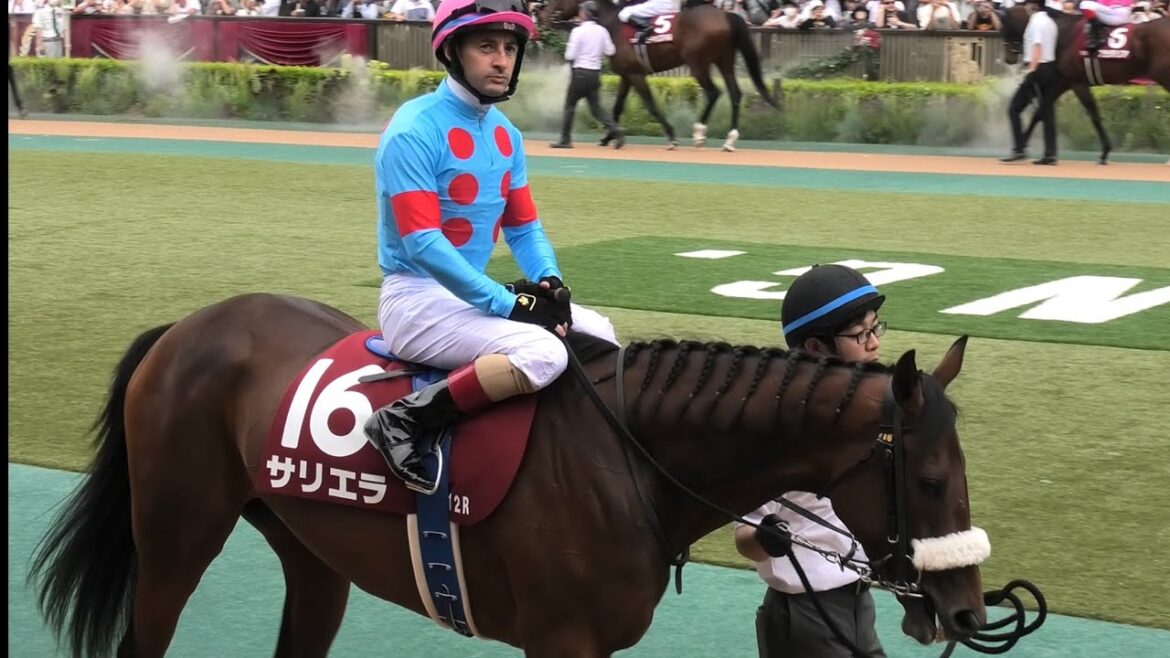 【目黒記念2023 】人馬とも厳しい中よく頑張った！サリエラとルメール