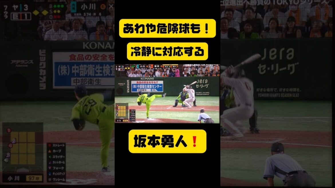 あわや頭部直撃！坂本隼人への危険な死球‼️そのリクエスト要りますか？