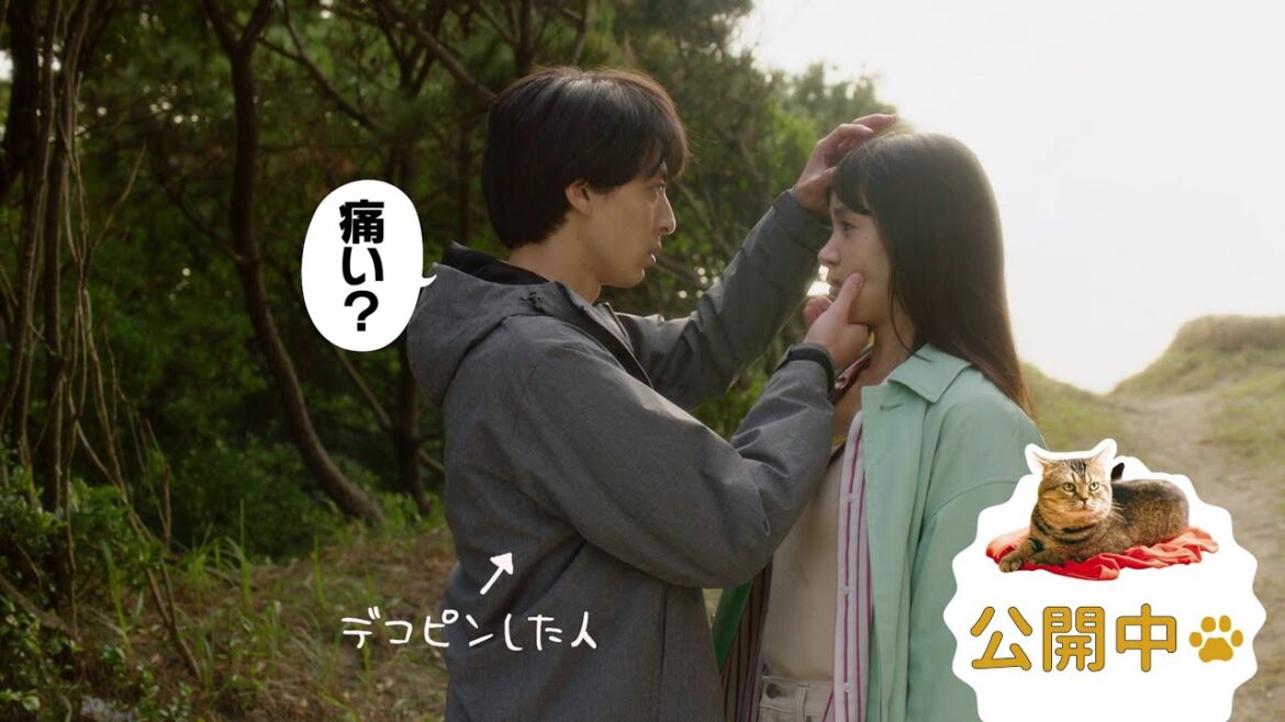 映画『いつか、いつも……いつまでも。』特別映像！