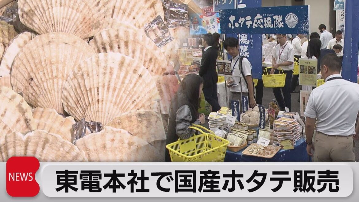 東電本社で国産ホタテ販売（2023年9月13日）