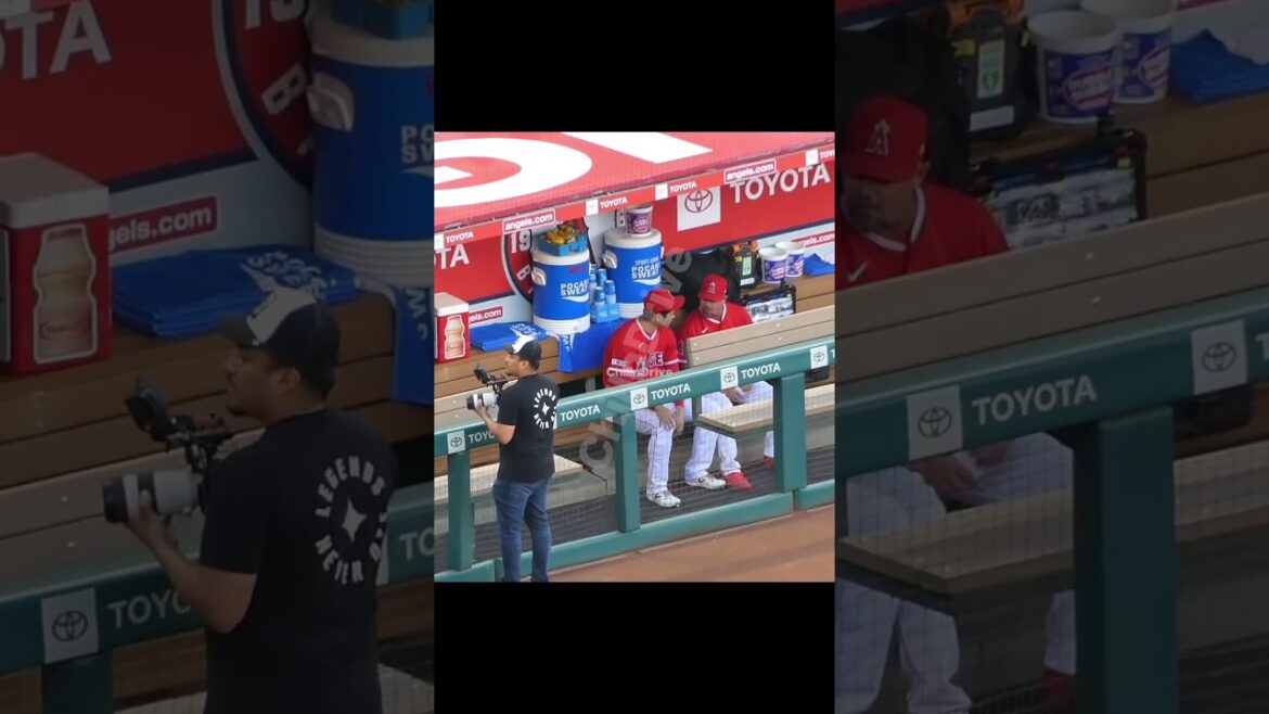 珍光景w 吉田麻也選手の前をスッと通り過ぎる大谷さん #shorts #short #大谷翔平 #shoheiohtani #エンゼルス #angels #現地映像 #angelstadium