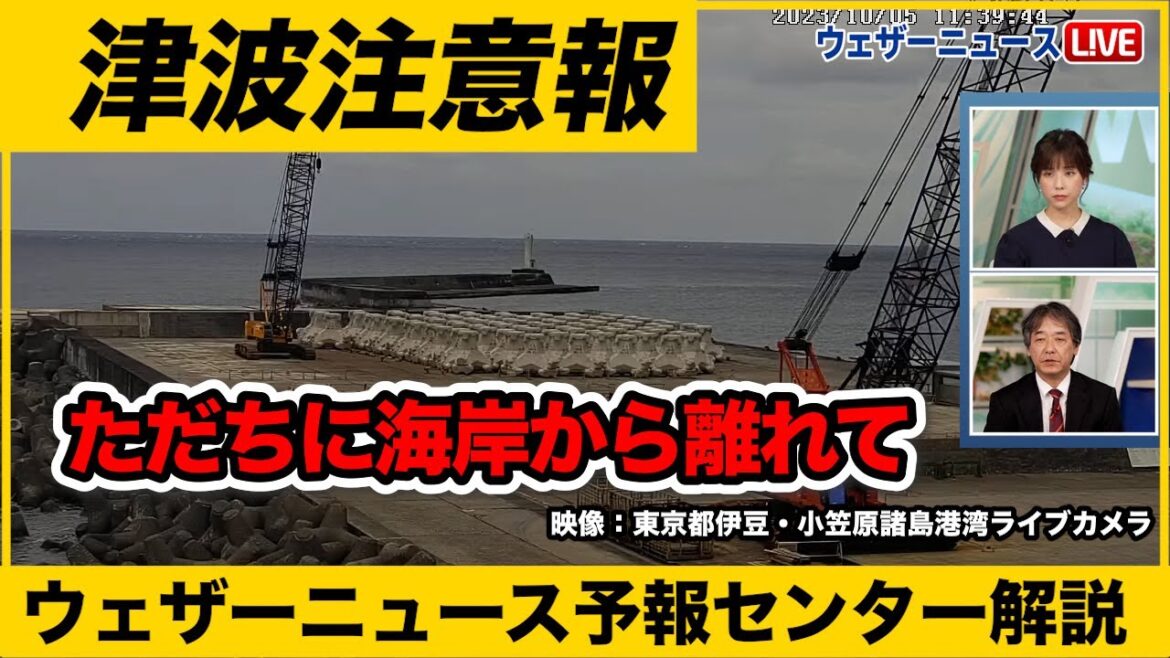 【ただちに海岸から離れて】伊豆諸島に津波注意報発表