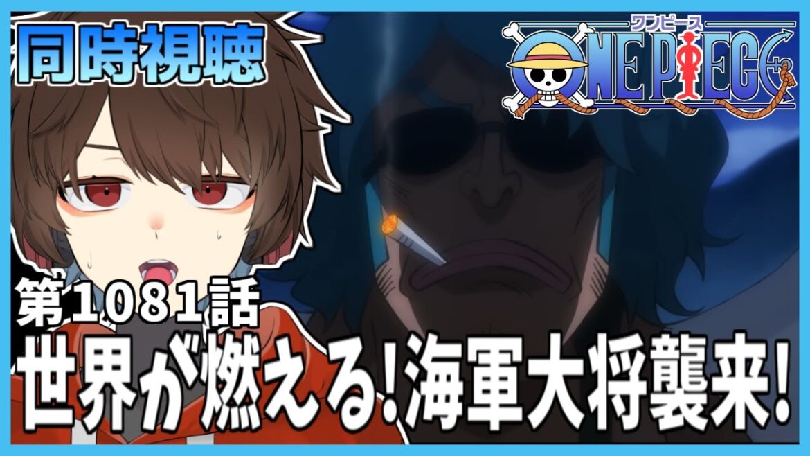 【アニワン/同時視聴】アニメワンピース1080話⇒1081「世界が燃える！海軍大将襲来！」を一緒に観よう！【錦秋紅葉】