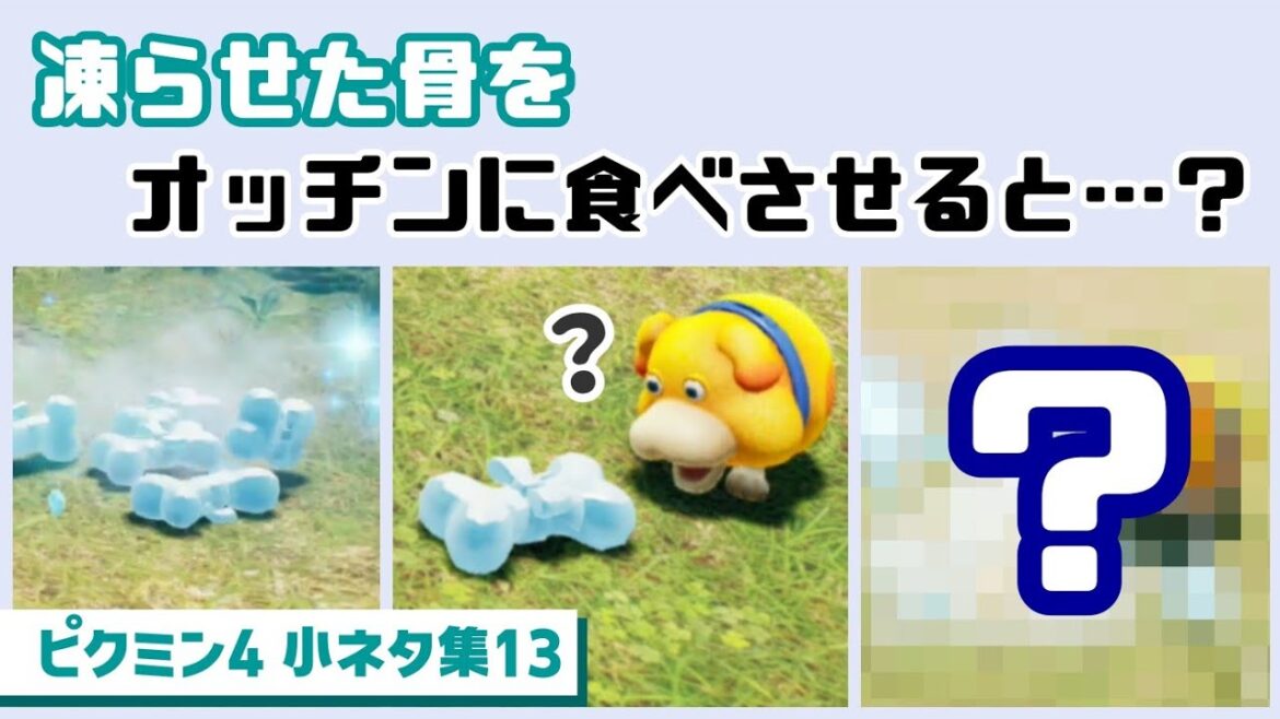 【ピクミン4】「凍らせた骨」をオッチンに食べさせてしまうと…まさかの現象が…！？ゲームに隠れた細かすぎる小ネタ集13【PIKMIN 4】@レウンGameTV