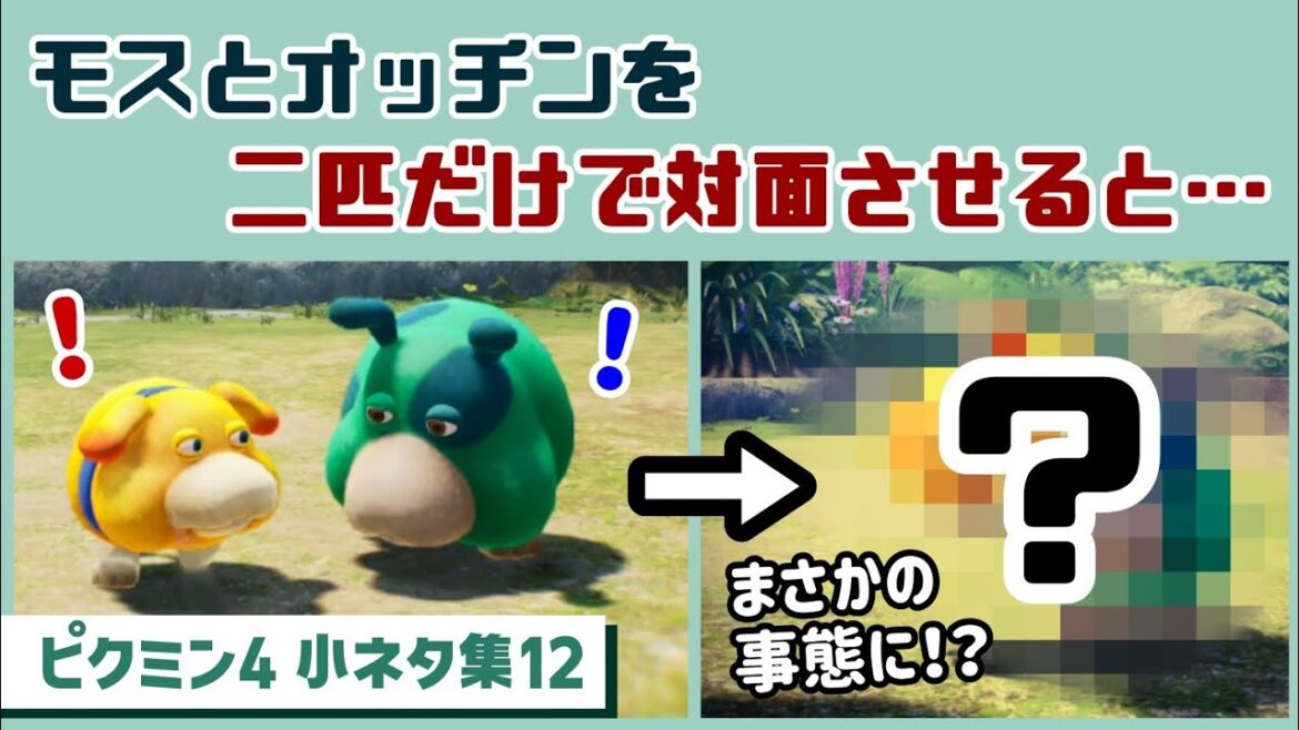 【ピクミン4】モスとオッチンを二匹だけで対面させると…まさかの行動に…！？ゲームに隠れた細かすぎる小ネタ集12【PIKMIN 4】@レウンGameTV