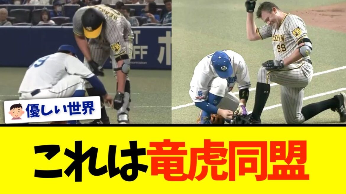 【中日×阪神】中日宇佐見、阪神ビーズリーのレガースの付けなおしを手伝ってあげる