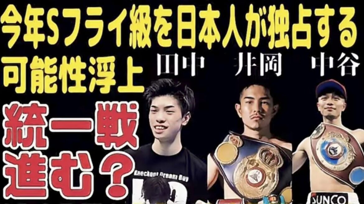 【今年日本人が制圧】井岡一翔、中谷潤人、田中恒成【スーパーフライ級戦線】