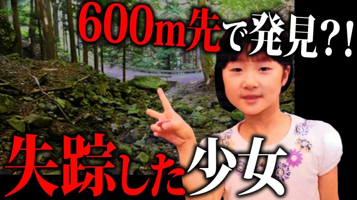 【総集編】闇が深すぎる…女児失踪事件【未解決事件】【ゆっくり解説】