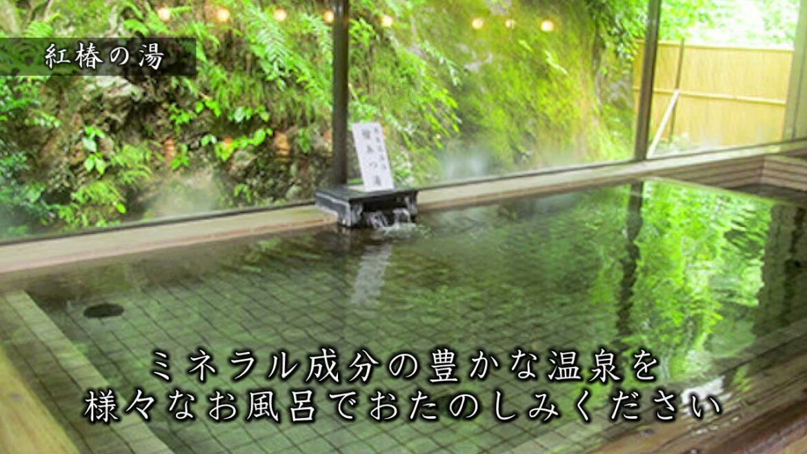 【道志の温泉宿　紅椿の湯】山梨県南都留郡道志村