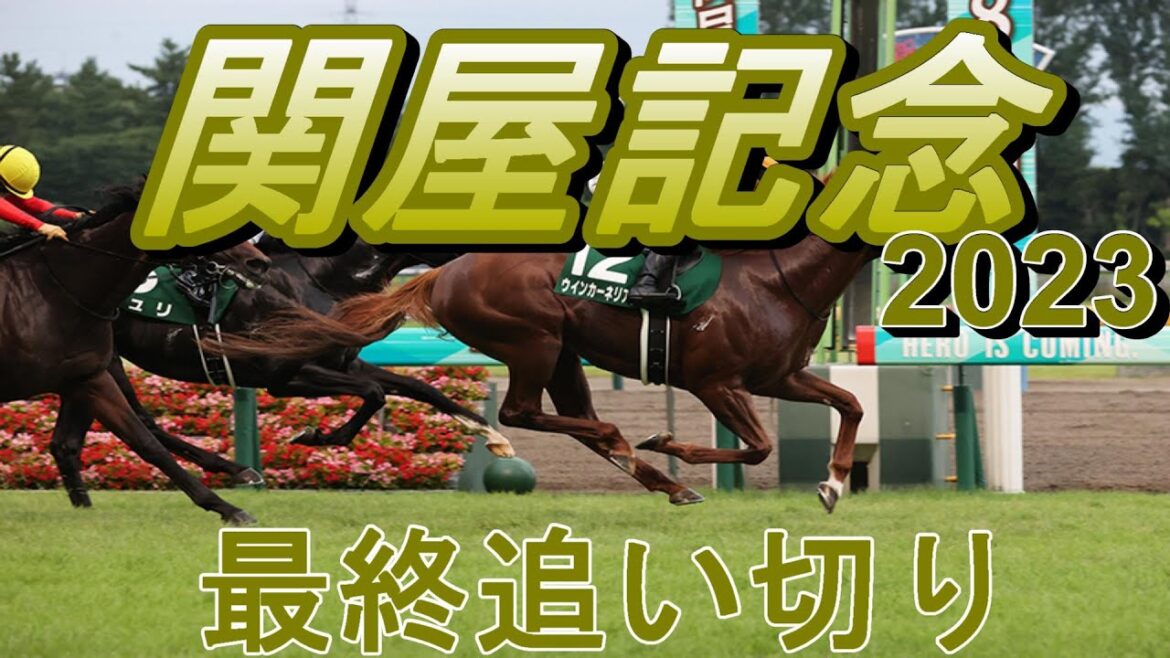 【関屋記念2023】第58回関屋記念最終追い切り