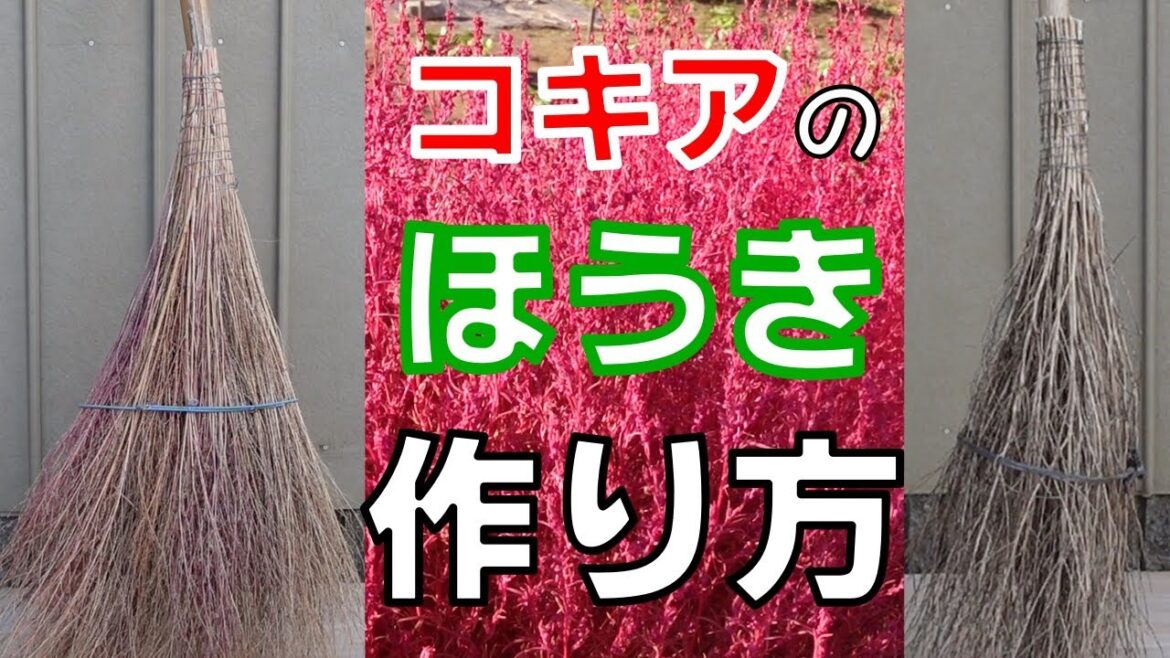 [コキアのほうき　作り方] ２種類　コキア(ホウキ草)のホウキの作り方　リクエストありがとうございます