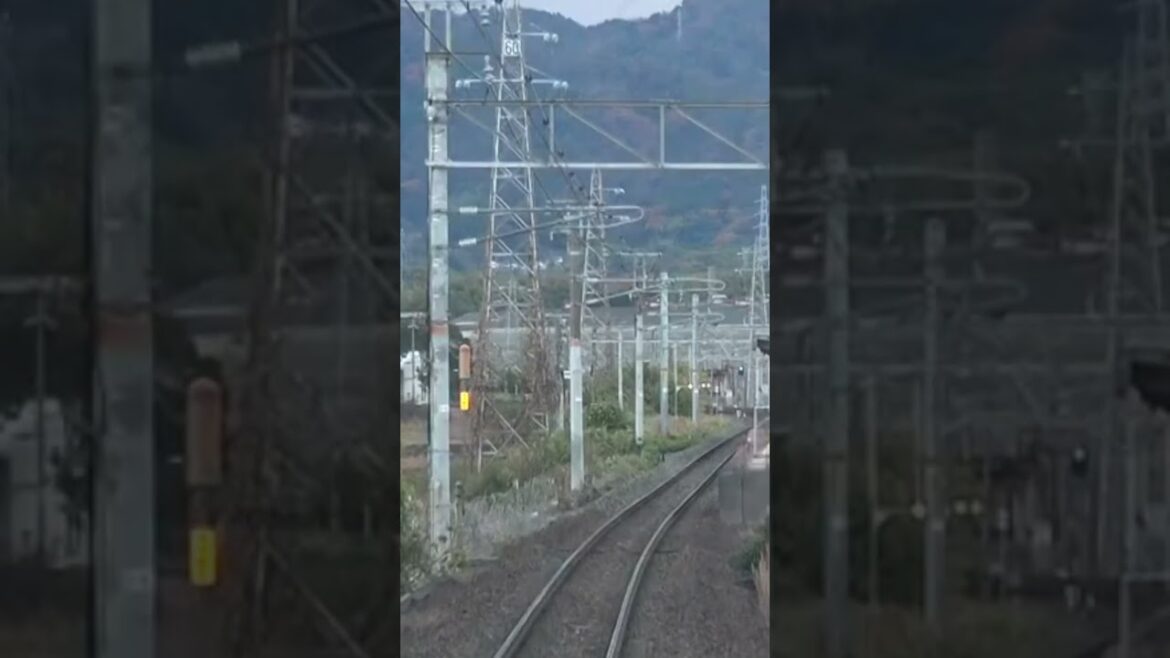 南岩国駅に到着する山陽本線下り115系の前面展望