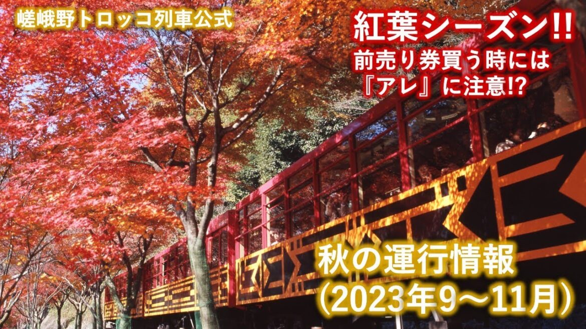 嵯峨野トロッコ列車 秋の運行情報(2023年9～11月)【紅葉】【予約・前売り券】