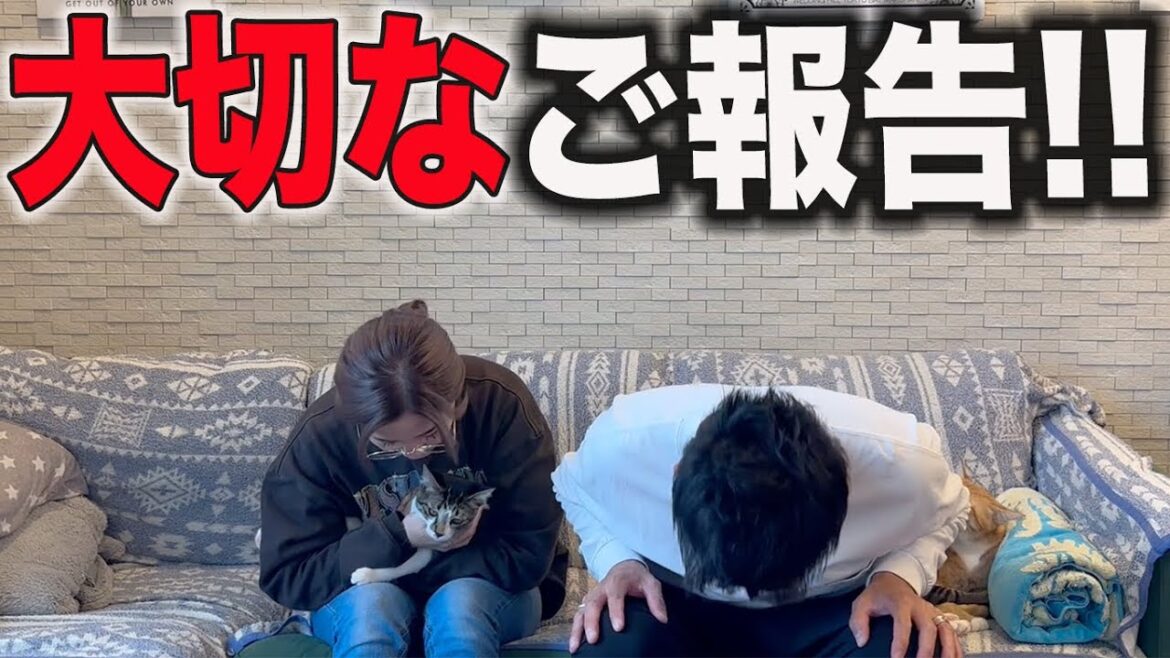 申し訳ございません。