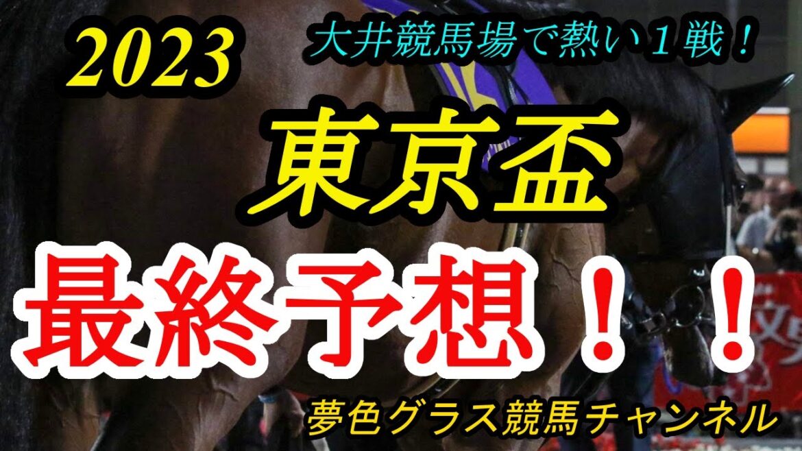 【最終予想】2023東京盃！◎は今後短距離ダートの地方で安定して力を発揮する？