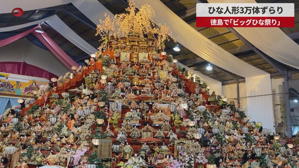 【速報】ひな人形3万体ずらり 徳島で「ビッグひな祭り」