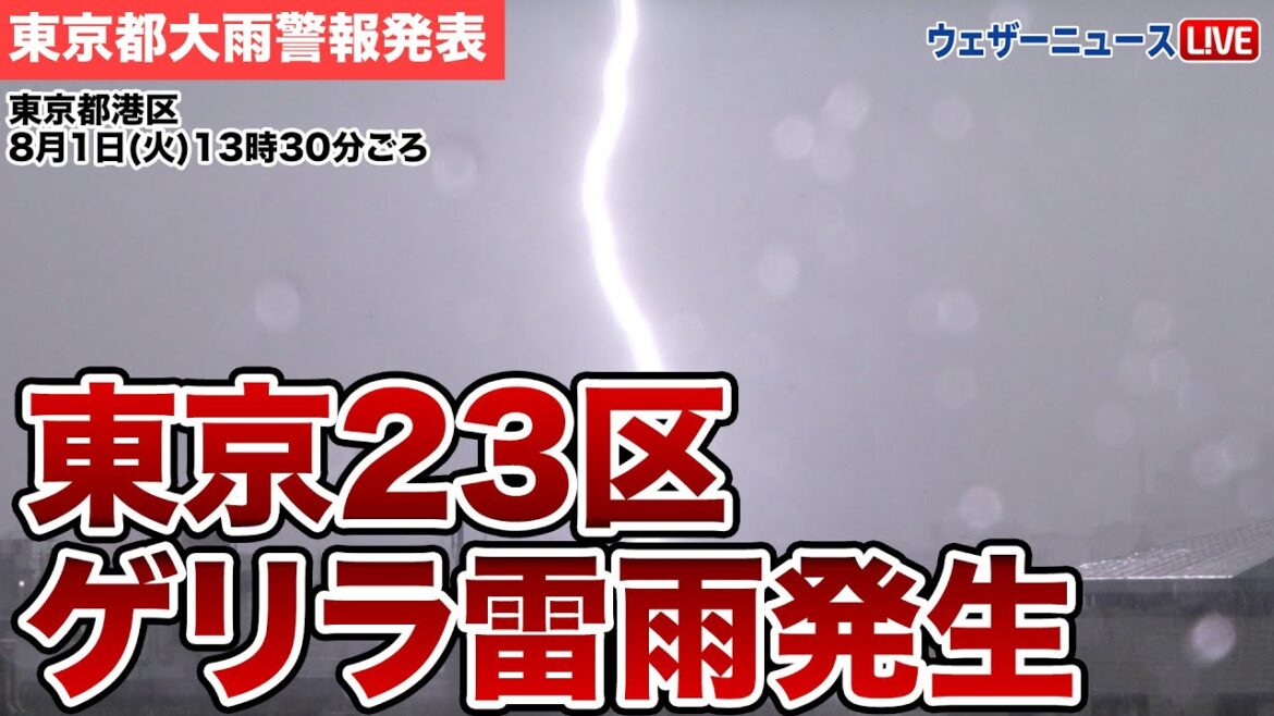 【東京23区ゲリラ雷雨発生】東京都に大雨警報発表