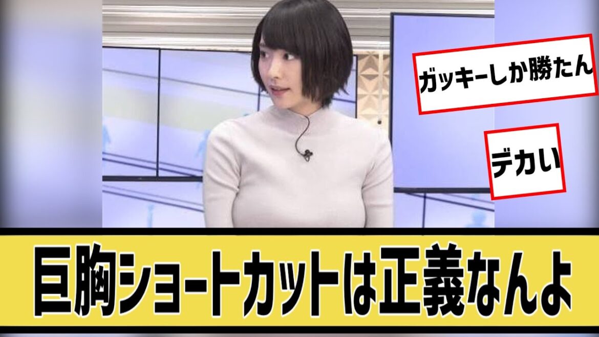 【新垣結衣】巨胸ショートカットガッキー大作戦に対するネット民の反応#5ch#2ch#なんｊ#グラビア