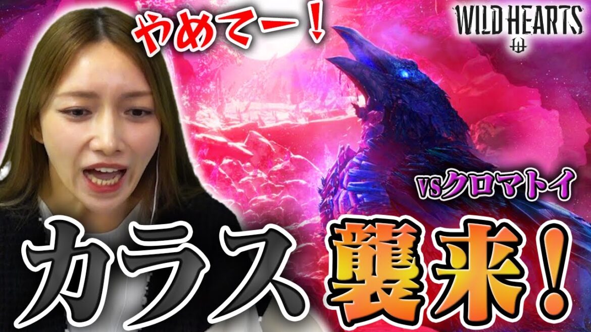 【WILD HEARTS】わたくし相撲にドハマりしております！【クロマイト戦】＃8