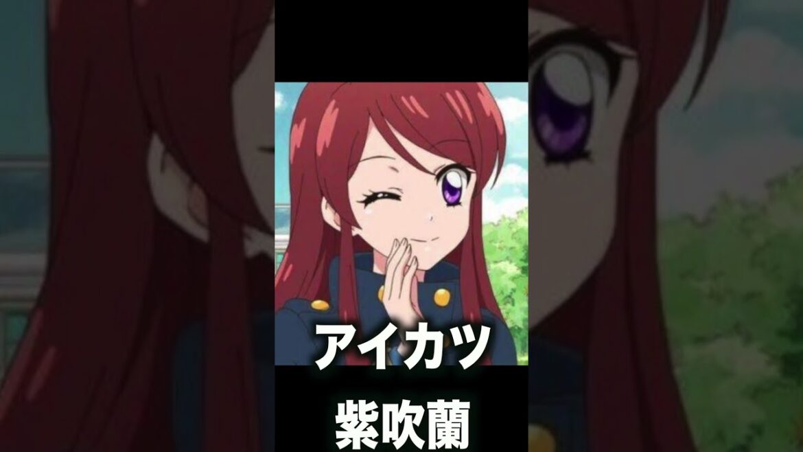 顔が似てるアニメキャラ4選【アイカツ】【プリキュア】【ワンパンマン】【ハンターハンター】【しゅごキャラ】【BLACK CAT】