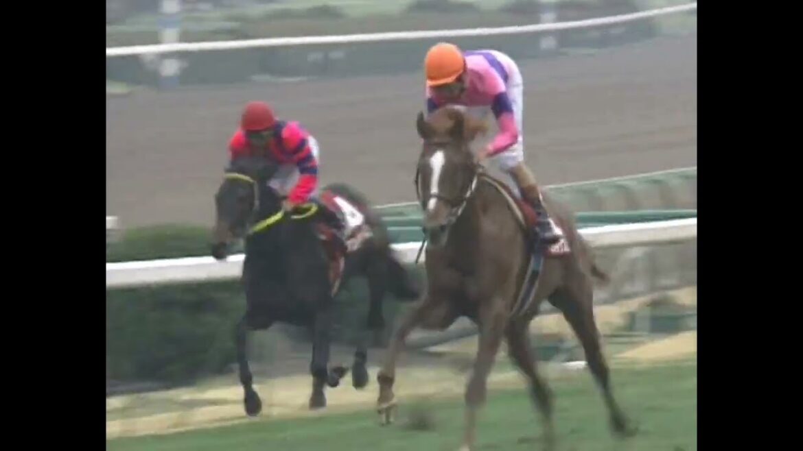 ナリタトップロード 1999年 第36回報知杯弥生賞(GII) (優勝馬：ナリタトップロード)