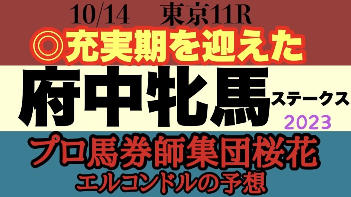 プロ馬券師集団桜花エルコンドル氏の府中牝馬ステークス2023予想！！秋華賞をパスしたシンリョクカは古馬に通用するか！逃げ馬不在の展開で上がり勝負を制する馬は！