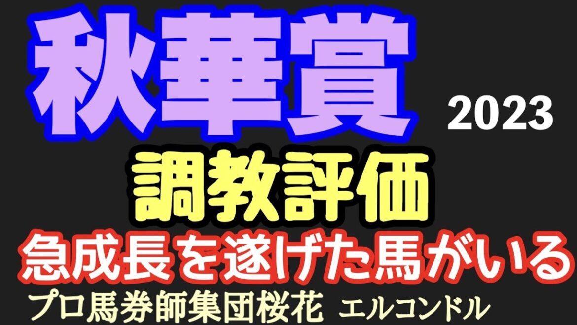 プロ馬券師集団桜花エルコンドル氏の秋華賞2023調教評価!!三冠を目指し注目集まるリバティアイランドの出来は!春先からガラッと動きの変わった馬と精神面での成長著しい馬がいるぞ! プロ馬券師集団桜花エルコンドル氏の秋華賞2023調教評価!!三冠を目指し注目集まるリバティアイランドの出来は!春先からガラッと動きの変わった馬と精神面での成長著しい馬がいるぞ!