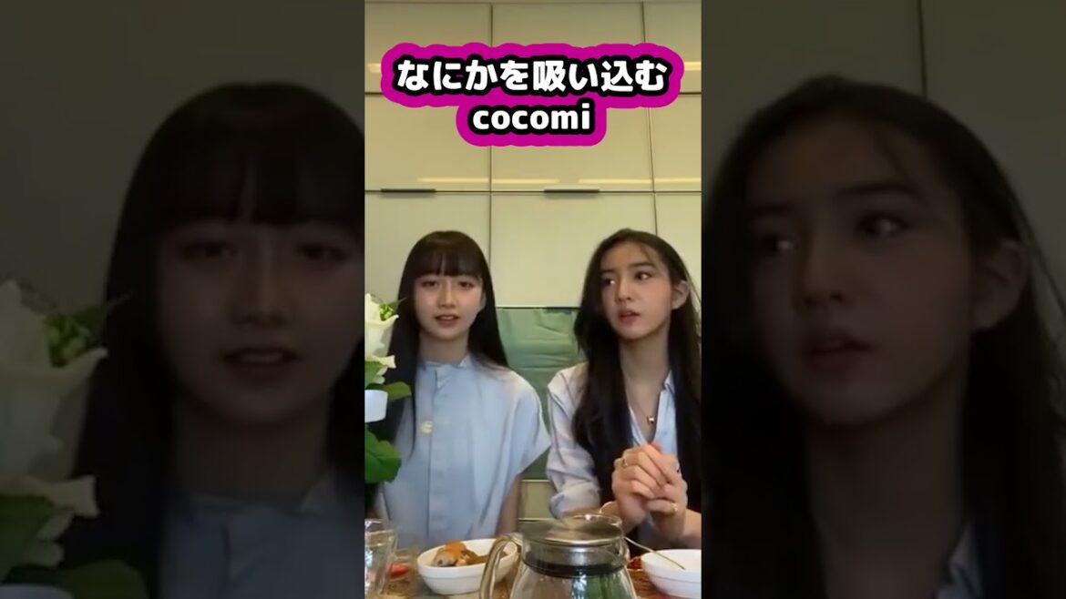 【キムタク娘】cocomiがなんか吸い込んで可愛くなってる映像 #cocomi #koki #キムタク #娘 #工藤静香 #Shorts