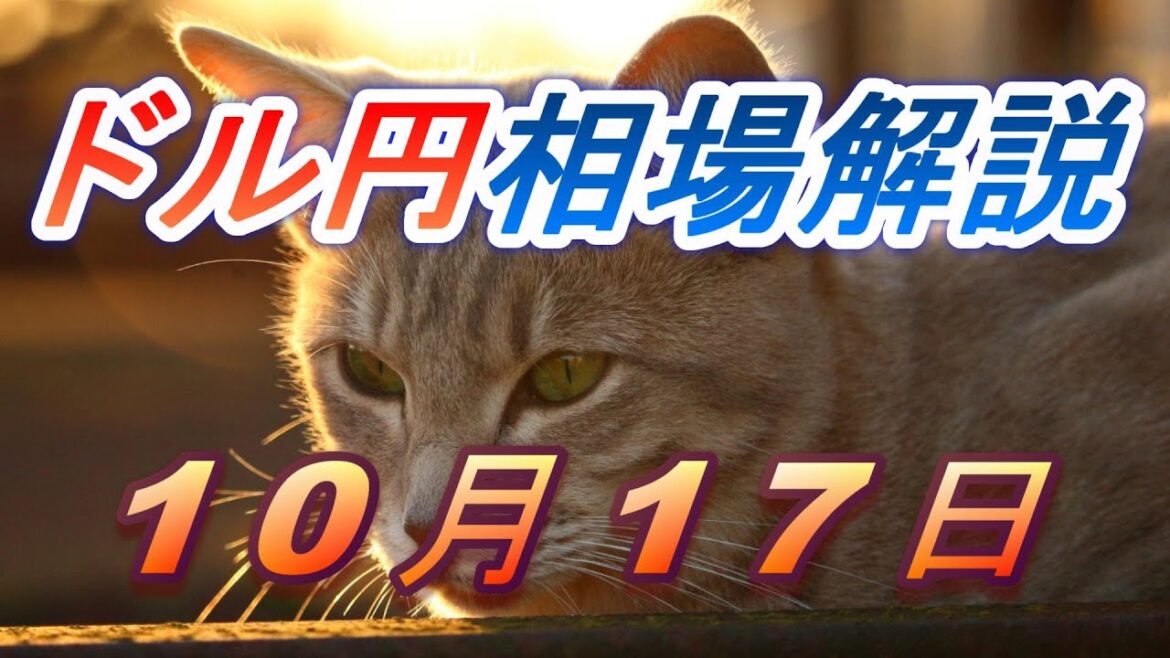 【TAKA FX】ドル円為替相場の前日の動きをチャートから解説。日経平均、NYダウ、金チャートも。10月17日