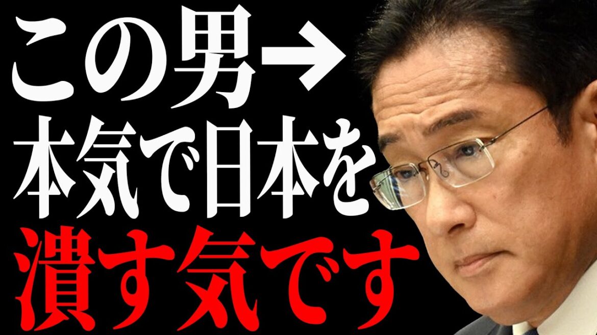 【ひろゆき】岸田内閣の支持率が過去最低の理由がヤバい。政治家って自分が得するためなら何でもします【 切り抜き ひろゆき切り抜き 岸田文雄 政治 博之 hiroyuki 】 【ひろゆき】岸田内閣の支持率が過去最低の理由がヤバい。政治家って自分が得するためなら何でもします【 切り抜き ひろゆき切り抜き 岸田文雄 政治 博之 hiroyuki 】