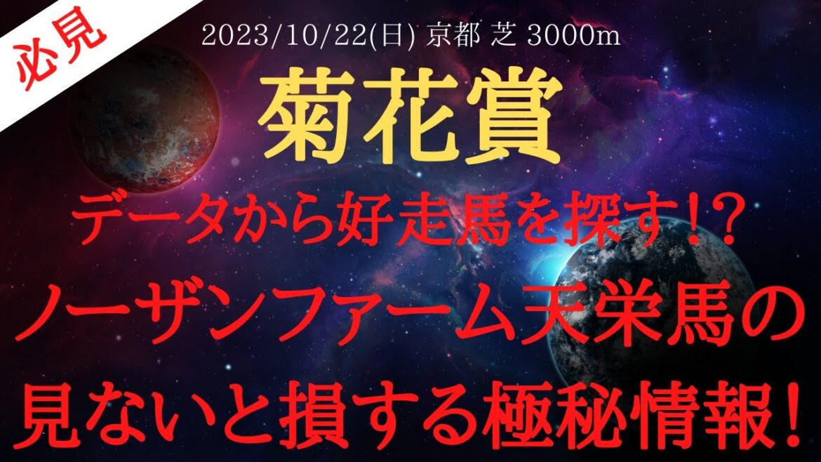 【 裏情報・データ 】菊花賞 2023 予想 データから好走馬を探す！？ノーザンファーム天栄馬の見ないと損する極秘情報！【中央競馬予想】