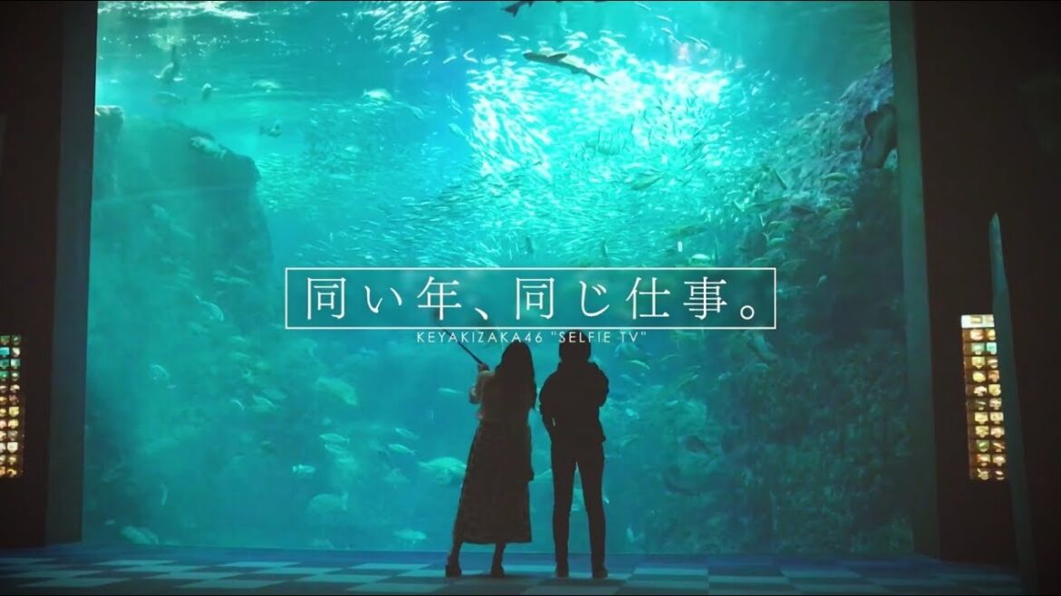 欅坂46 平手友梨奈×柿崎芽実 ＜自撮りＴＶ＞