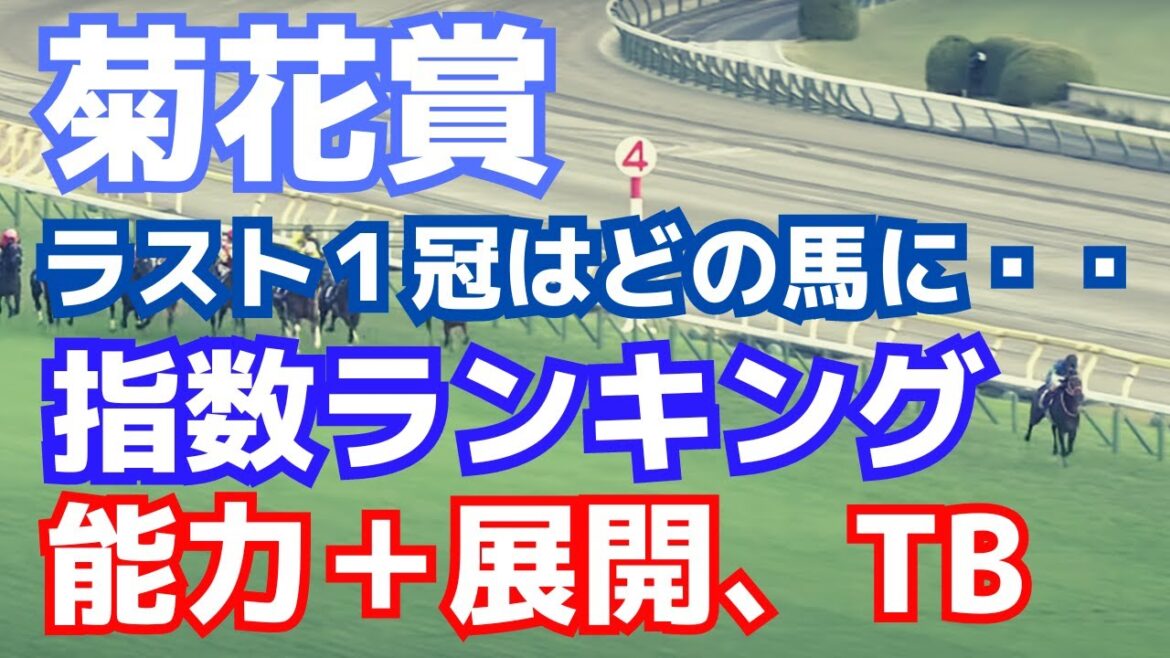菊花賞予想のプロセスを公開!能力指数と展開分析 菊花賞予想のプロセスを公開!能力指数と展開分析