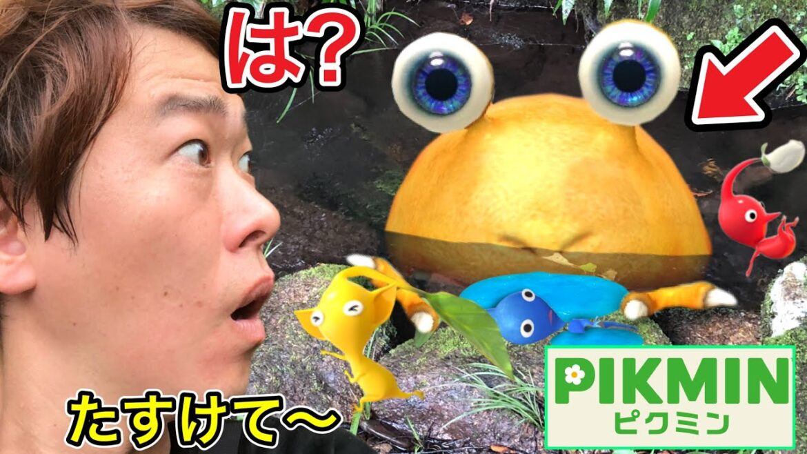 ※カッパかと思ったら野生のチャッピーが現れてピクミン達食べられました…