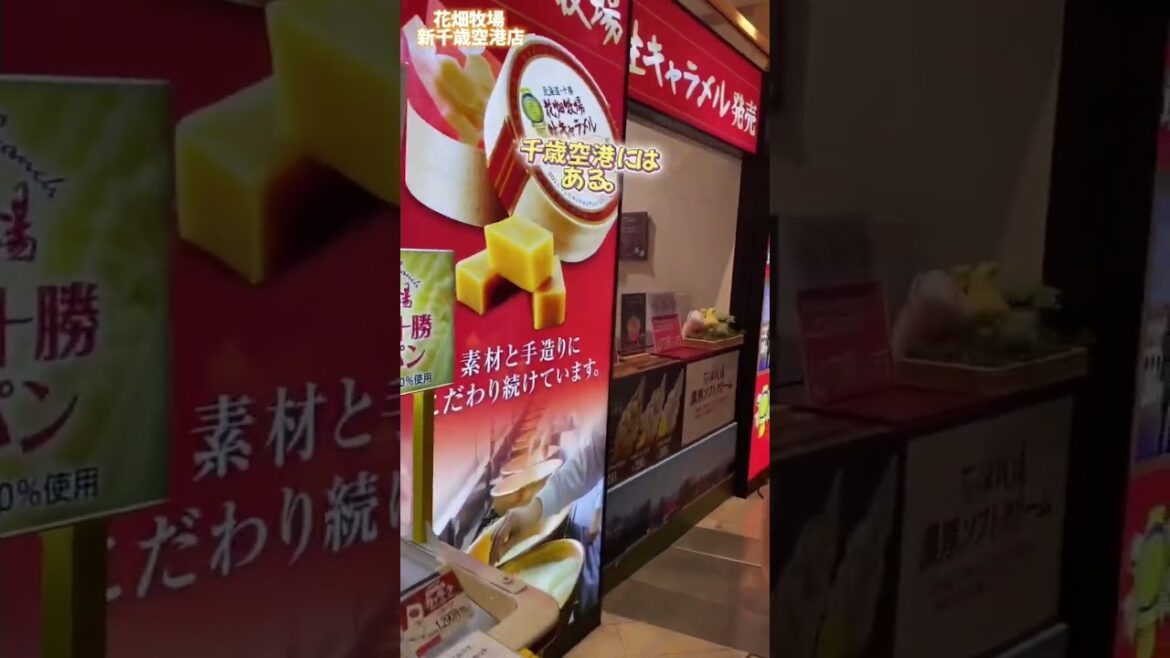 【北海道グルメ】花畑牧場新千歳空港店のソフトクリームが美味い★